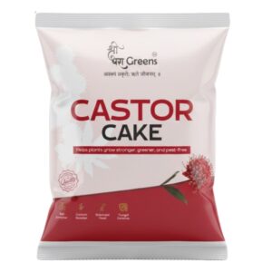 Castor Cake