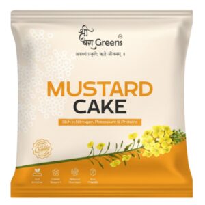 Mustard Cake