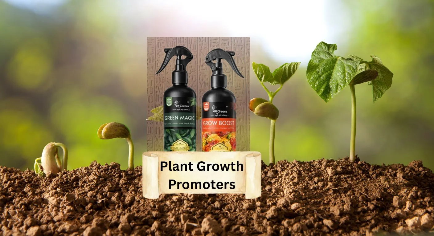Two plant growth promoter spray bottles placed in soil with seedlings showing different stages of plant growth